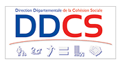 DDCS-logo